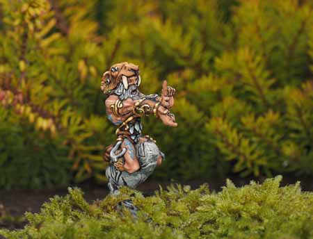 Cougar Shaman