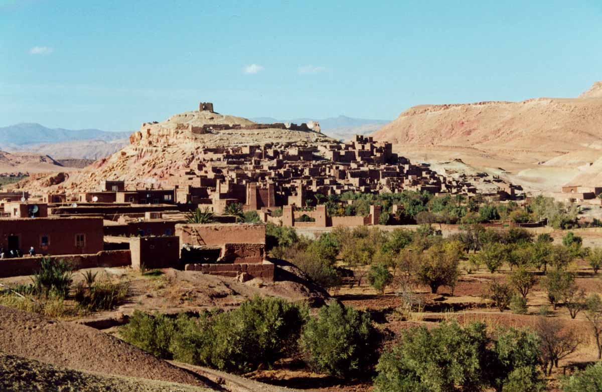 The Oasis of Olives and Eucalyptus