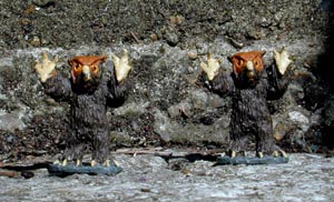 Owl Bears