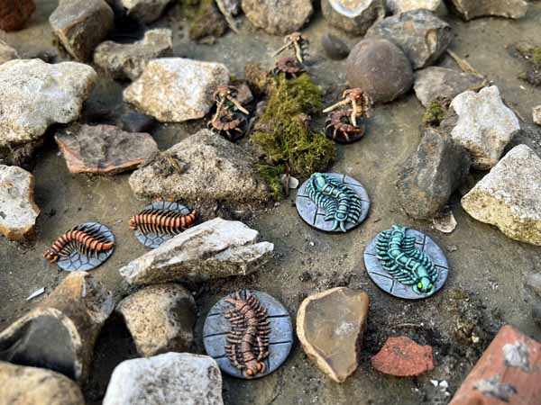 Giant Centipedes