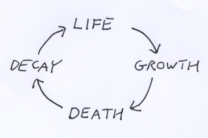 The Cycle of Life