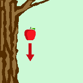 falling apple